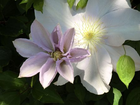 今日も一人で画像加工に挑む 今日も一人で画像加工に挑む