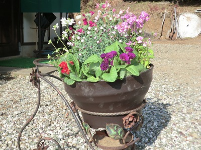 寄せ植え