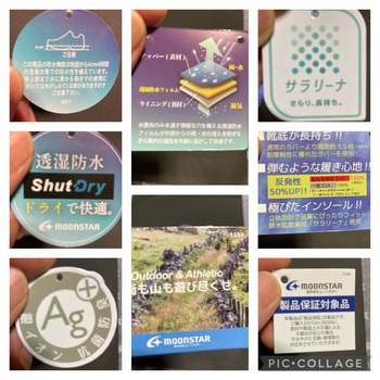 5割 5割