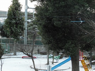 初雪