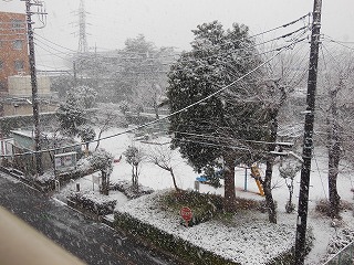 立春の雪