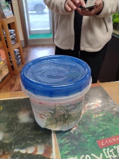 エビを持って来てくれたお客様 Keiさん エビを持って来てくれたお客様 Keiさん