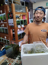 エビを持って来てくれたお客様 甲駿えびさん エビを持って来てくれたお客様 甲駿えびさん