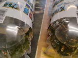 エビを持って来てくれたお客様 速水工房えびさん エビを持って来てくれたお客様 速水工房えびさん