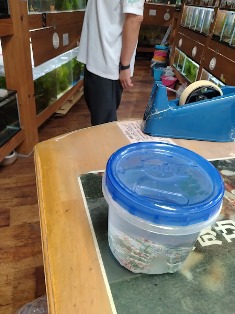 エビを持って来てくれたお客様 Keiさん エビを持って来てくれたお客様 Keiさん