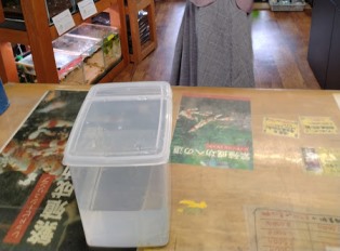 エビを持って来てくれたお客様 まあこさん エビを持って来てくれたお客様 まあこさん
