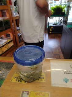 エビを持って来てくれたお客様 Keiさん まあこさん エビを持って来てくれたお客様 Keiさん まあこさん