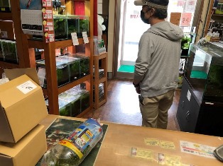 エビたちを持って来てくれたお客様 速水工房えびさん エビたちを持って来てくれたお客様 速水工房えびさん