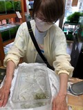 エビを持って来てくれたお客様 ちえちゃん エビを持って来てくれたお客様 ちえちゃん