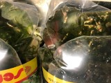 エビたちを持って来てくれたお客様 速水工房えびさん エビたちを持って来てくれたお客様 速水工房えびさん