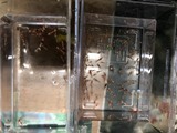 エビを持って来てくれたお客様 エビテックさん エビを持って来てくれたお客様 エビテックさん