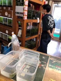 エビを持って来てくれたお客様 石まろさん エビを持って来てくれたお客様 石まろさん