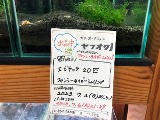 エビを持って来てくれたお客様 エビテックさん エビを持って来てくれたお客様 エビテックさん