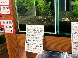 ヤフオク! 出品中 レッドビーシュリンプ 終了日時 7.12(水)21:57 ヤフオク! 出品中 レッドビーシュリンプ 終了日時 7.12(水)21:57