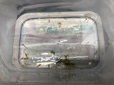 エビを持って来てくれたお客様 ノラさん エビを持って来てくれたお客様 ノラさん