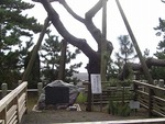初めての蓬莱橋
