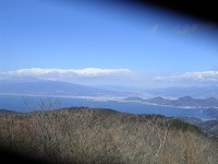 しだれ梅と頭なし富士山