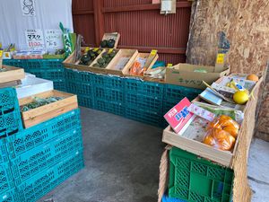 八百屋さんの店舗改革をサポート 八百屋さんの店舗改革をサポート