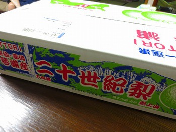 二十世紀梨 二十世紀梨