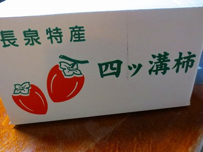 四つ溝柿