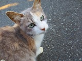 お見送り