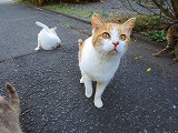 お見送り