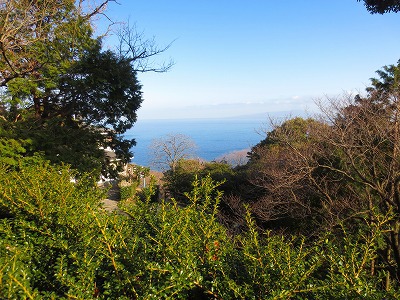 わき道