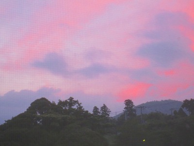 ひぐらし ひぐらし