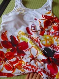 どれにしようか・・・ どれにしようか・・・