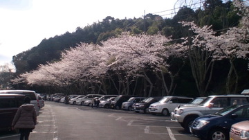 日本平動物園