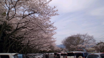 日本平動物園