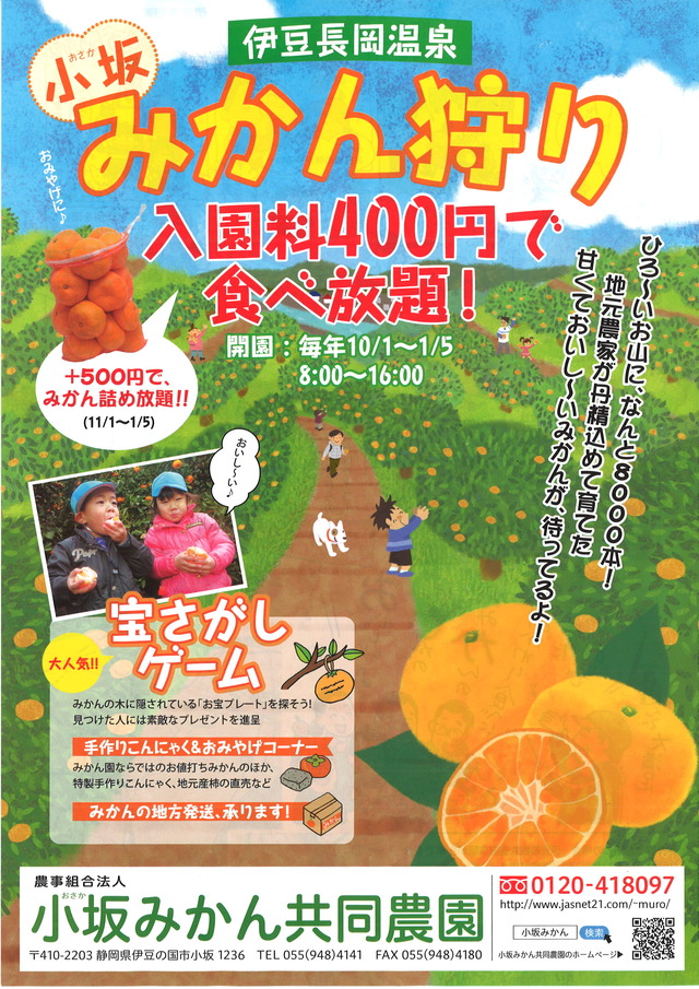 小坂みかん狩り 伊豆長岡温泉