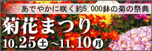 修善寺虹の郷 菊花まつり