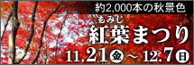 紅葉まつり