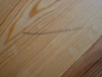 地球洗い隊 大そうじ大賞2009