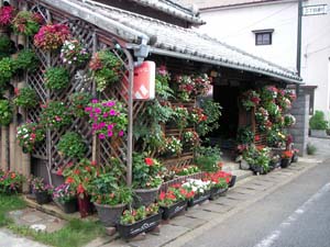 花いっぱい・・・
