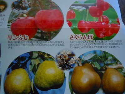果樹園