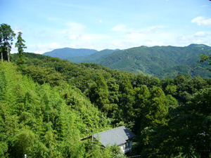 素敵な伊豆