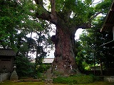 西から東から