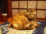 今回は