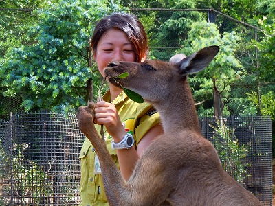 伊豆シャボテン公園