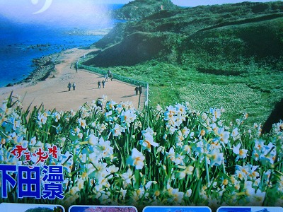 水仙祭り