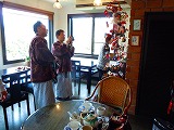 河津さくらを追って
