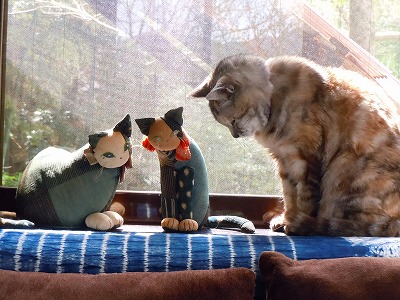 三匹の猫