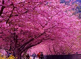 仙台から・・・・