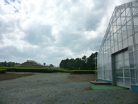 お茶愛場所