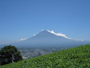 夏の富士山