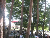 グレイスワイン収穫祭