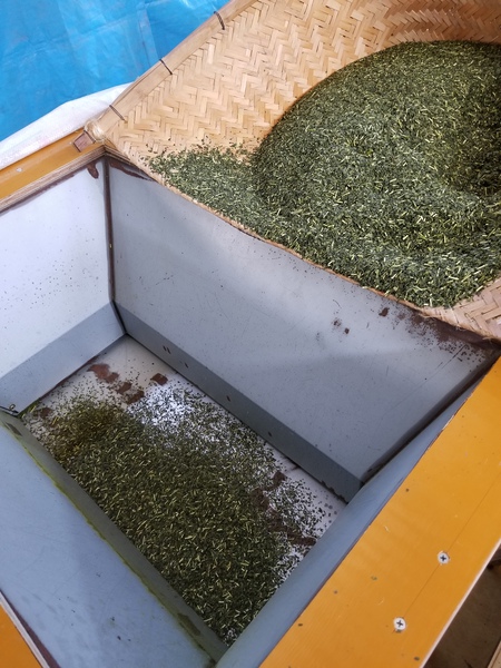 まるごと茶の仕上げしました。 まるごと茶の仕上げしました。