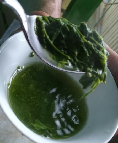 お茶を揉んでいます。 お茶を揉んでいます。